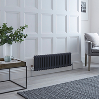 Radiatore Orizzontale Tradizionale a Doppia Colonna Antracite - 300mm x 1010mm - Regent