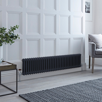 Radiatore Orizzontale Tradizionale a Doppia Colonna Antracite - 300mm x 1505mm - Regent