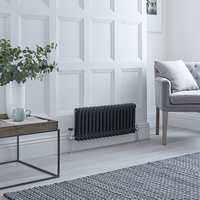 Radiatore Orizzontale Tradizionale a Doppia Colonna Antracite - 300mm x 785mm - Regent