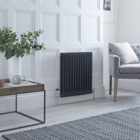 Radiatore Orizzontale Tradizionale a Doppia Colonna Antracite - 600mm x 605mm - Regent