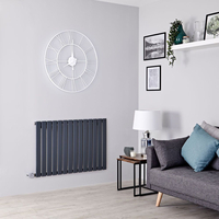 Radiatore Termosifone di Design Elettrico Orizzontale Antracite - 800W - 635 x 980mm - Delta