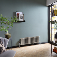 Radiatore Tradizionale a Doppia Colonna Orizzontale - Argento Metallizzato - 300mm x 1010mm - Regent