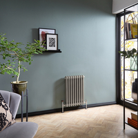 Radiatore Tradizionale a Doppia Colonna Orizzontale - Argento Metallizzato - 600mm x 425mm - Regent