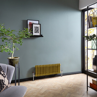 Radiatore Tradizionale a Doppia Colonna Orizzontale - Oro Metallizzato - 300mm x 785mm - Regent