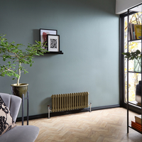 Radiatore Tradizionale a Doppia Colonna Orizzontale - Ottone Naturale - 300mm x 785mm