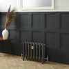 Radiatore Tradizionale in Ghisa a 2 Colonne Alto 510mm - Finitura Grigio Scuro Railings di Farrow & Ball - Charlotte