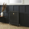 Radiatore Tradizionale in Ghisa a 2 Colonne Alto 950mm - Finitura Grigio Scuro Railings di Farrow & Ball - Charlotte