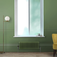 Radiatore Tradizionale Orizzontale Tradizionale a Tripla Colonna Verde (Reseda Green) - 300mm x 785mm - Regent