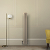 Radiatore Tradizionale Verticale a Doppia Colonna - Marrone (Elk Brown) - 1500mm x 200mm - Regent