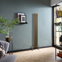 Radiatore Tradizionale Verticale a Doppia Colonna - Ottone Naturale - 1500mm x 200mm - Regent