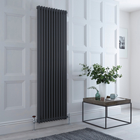 Radiatore Verticale Tradizionale a Doppia Colonna Antracite - 1800mm x 560mm - Regent