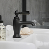 Rubinetto Miscelatore Monoforo per Lavabo con Maniglie a Leva - Nero - Elizabeth