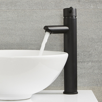 Rubinetto Monoforo Alto Per Lavabo - Design Moderno Nero Opaco - Nox