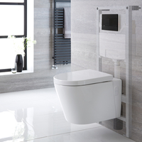 Sanitario Bagno WC Sospeso Ovale con Copriwater,  Telaio e Placca di Comando - Exton