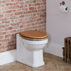 Sanitario Filoparete Tradizionale con Sedile in Rovere e Cerniere in Bronzo Lucidato ad Olio - Richmond