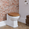 Sanitario Tradizionale a Parete - Oro Spazzolato,  Cerniere Eleganti - Design Classico - Richmond
