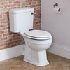 Sanitario Tradizionale Monoblocco con Altezza Comfort e Sedile Bianco - Scelta della Finitura della Leva di Scarico - Richmond
