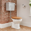 Sanitario WC a Terra con Cassetta Bassa e Scelta di Copriwater - Richmond