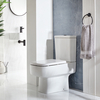 Sanitario WC Moderno Monoblocco - Sedile Ammortizzato e Pulsante di Scarico Nero - Hudson Reed