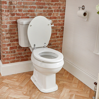 Sanitario WC Monoblocco con Scelta di Copriwater - Richmond