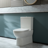 Sanitario WC Monoblocco Moderno con Sedile a Chiusura Ammortizzata e Pulsante di Scarico Cromato