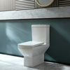 Sanitario WC Monoblocco Moderno con Sedile a Chiusura Ammortizzata e Pulsante di Scarico Cromato