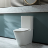 Sanitario WC Monoblocco Moderno con Sedile a Chiusura Ammortizzata e Pulsante di Scarico Nero