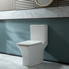 Sanitario WC Monoblocco Moderno con Sedile a Chiusura Ammortizzata e Pulsante di Scarico Nero
