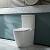 Sanitario WC Monoblocco Moderno con Sedile a Chiusura Ammortizzata e Pulsante di Scarico Nero