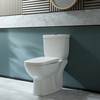 Sanitario WC Monoblocco Moderno con Sedile a Chiusura Ammortizzata e Pulsante di Scarico Nero