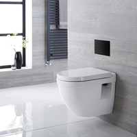 Sanitario WC Sospeso Ovale con Copriwater,  Telaio Corto e Placca di Comando - Belstone