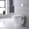 Sanitario WC Sospeso Ovale con Copriwater,  Telaio e Placca di Comando - Belstone