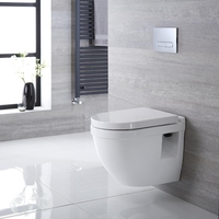 Sanitario WC Sospeso Ovale con Copriwater,  Telaio e Placca di Comando - Belstone