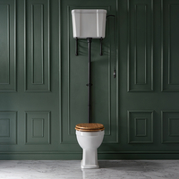 Sanitario WC Tradizionale Alto con Cassetta - Kit Scarico Nero Opaco e Copriwater WC Rovere - Richmond