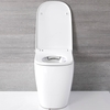 Smart Toilet a Terra Stile Giapponese - Hirayu