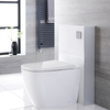 Smart Toilet a Terra Stile Giapponese con Kit di Fissaggio Bianco 500mm - Saru