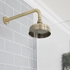 Soffione Doccia Tradizionale Rotondo 150mm - Oro Spazzolato - Elizabeth