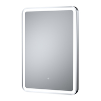 Specchio con Illuminazione a LED con Cornice Argento 21W e Antiappannamento - 500mm x 700mm
