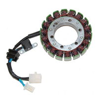 ElectroSport Stator ESG076 per alternatore