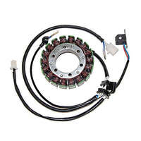 ElectroSport Stator ESG079 per alternatore