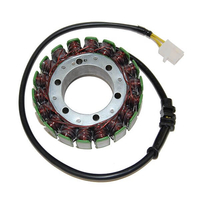 ElectroSport Stator ESG085 per alternatore