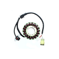 ElectroSport Stator ESG109 per alternatore