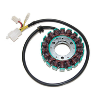 ElectroSport Stator ESG148 per alternatore