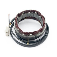 ElectroSport Stator ESG21 per alternatore