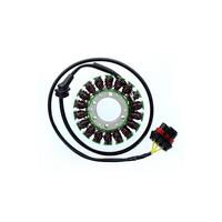 ElectroSport Stator ESG306 per alternatore