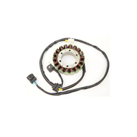ElectroSport Stator ESG309 per alternatore