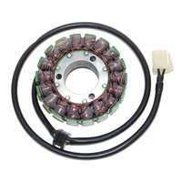 ElectroSport Stator ESG31 per alternatore