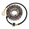 ElectroSport Stator ESG35 per alternatore