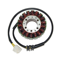 ElectroSport Stator ESG529 per alternatore