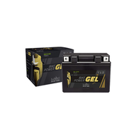 INTACT Bike Power GEL Batteria CB 3L-A